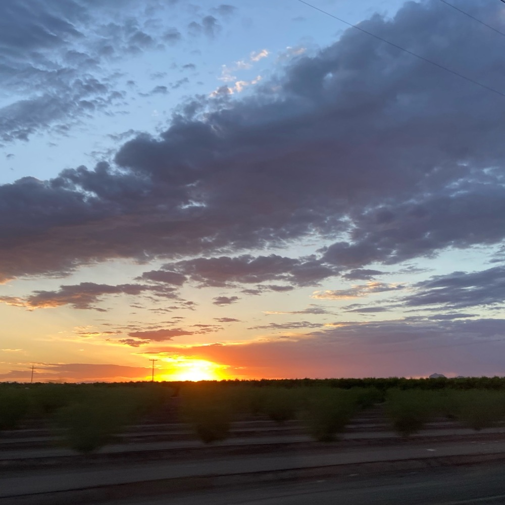 Meet your Posher, Tabitha